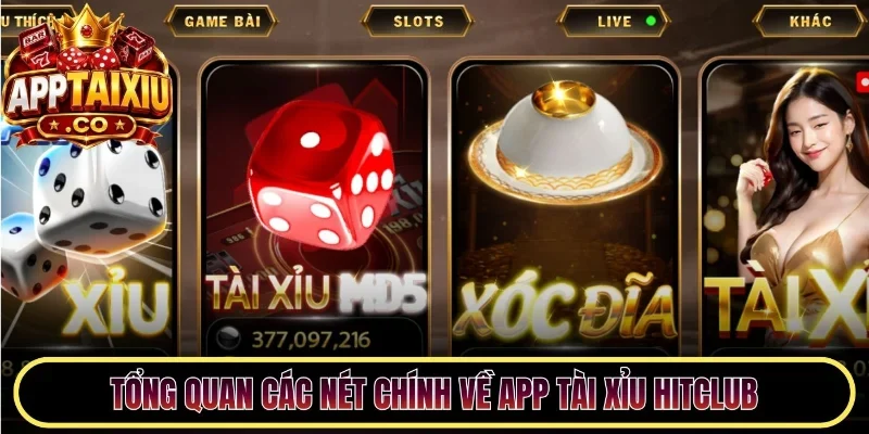 Tổng quan các nét chính về app tài xỉu Hitclub