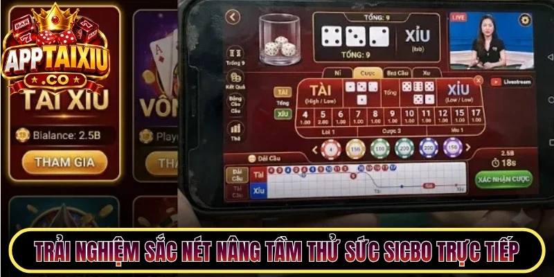 Trải nghiệm sắc nét nâng tầm thử sức Sicbo trực tiếp